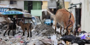 2010HAITI-www.FrankTV.net.net-381