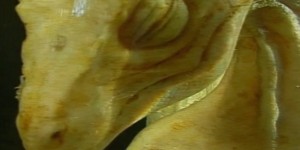 NDVD_002-001